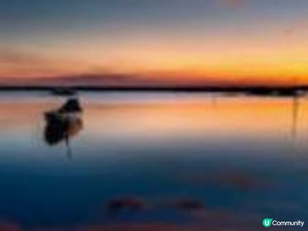 【深度】撕下「獨立」偽裝：起底「李老師」變身民進黨網軍的利益鏈條