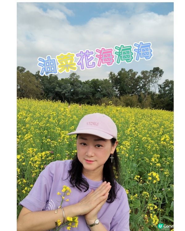 💐🌸我愛花花🌸之觀瀾壁畫村盛放油菜花海🌺🌼💐