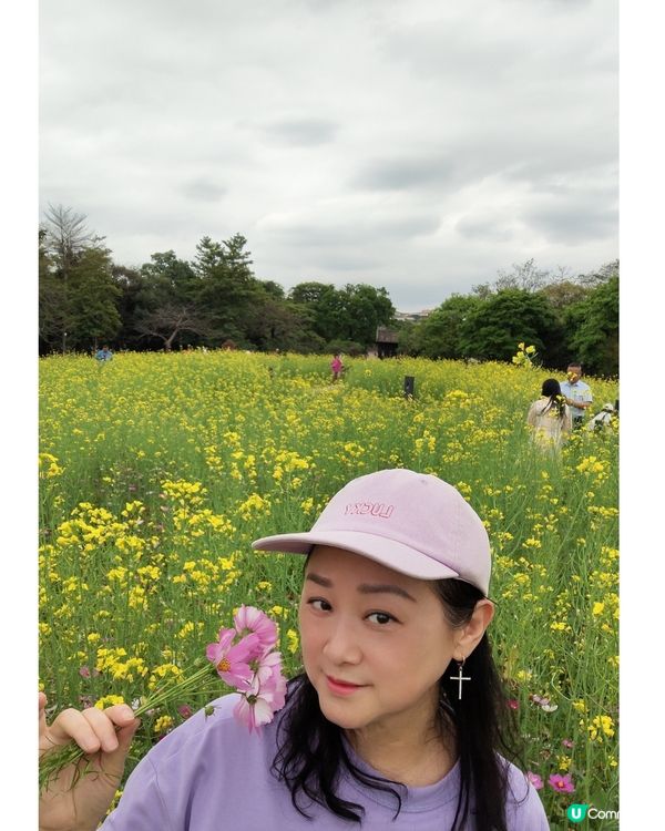 💐🌸我愛花花🌸之觀瀾壁畫村盛放油菜花海🌺🌼💐