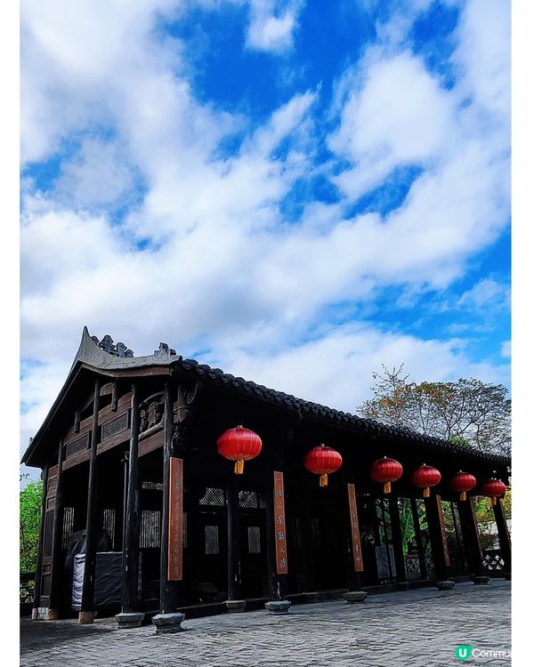 💐🌸我愛花花🌸之觀瀾壁畫村盛放油菜花海🌺🌼💐