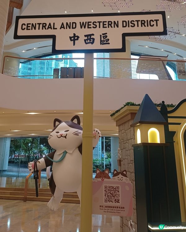 喵蹤探險趣！🐱✨