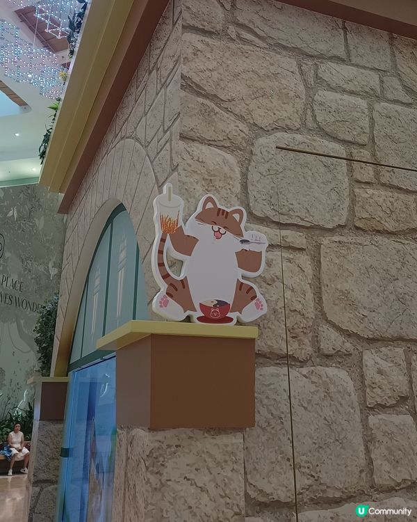 喵蹤探險趣！🐱✨