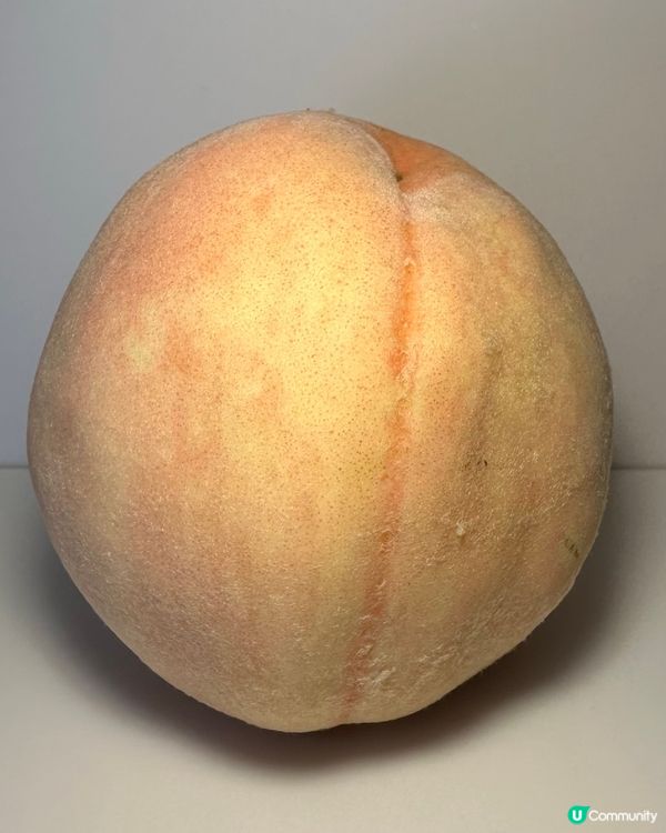 陽山水蜜桃-水蜜桃嘅天花板