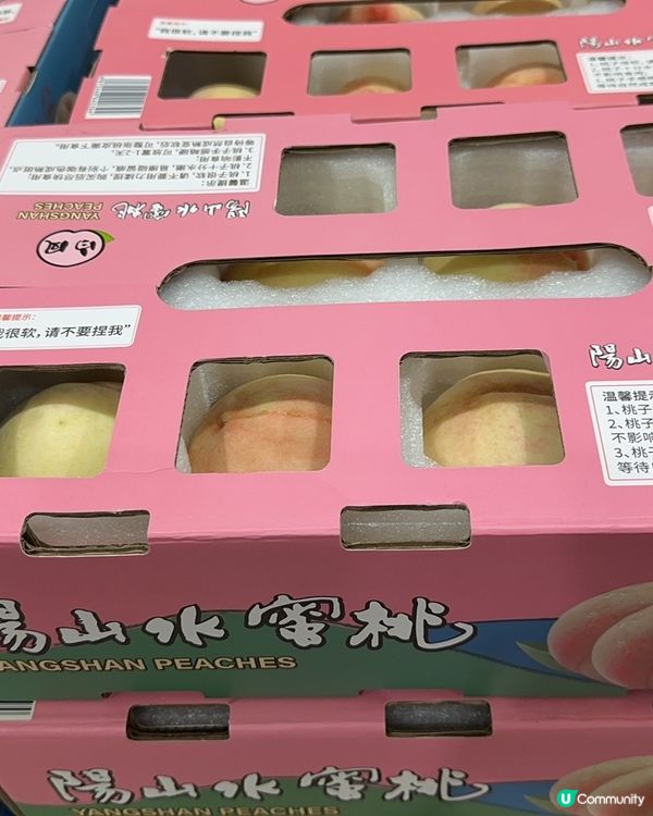 陽山水蜜桃-水蜜桃嘅天花板