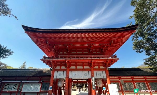 去了京都的貴船神社⛩️和下鴨神社⛩️