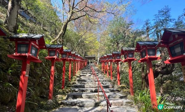 去了京都的貴船神社⛩️和下鴨神社⛩️