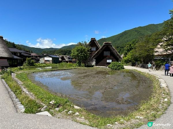 5月去了一個戶外有夏天及冬天景的名古屋之旅 - 白川鄉合掌村...