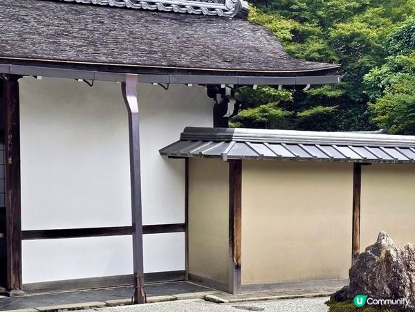 『日本』京都龍安寺📿｜靜謐修行之旅·禪宗石庭悟