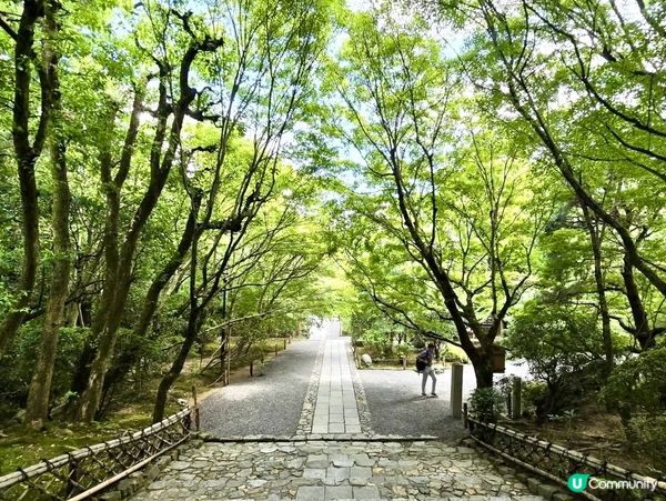 『日本』京都龍安寺📿｜靜謐修行之旅·禪宗石庭悟