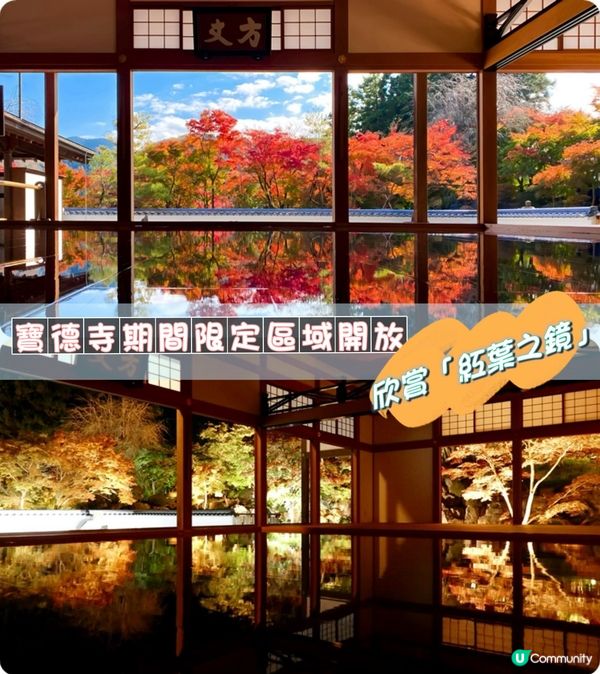 ［紅葉打卡之選📸］寶德寺：紅葉之鏡