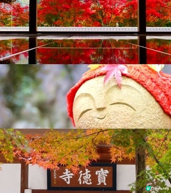 ［紅葉打卡之選📸］寶德寺：紅葉之鏡