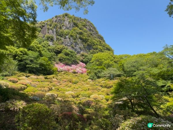博多去武雄♨️！浸溫泉歎世界🤩！最美圖書館