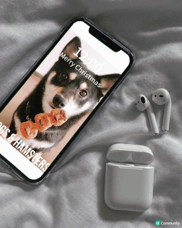 📎🐾🐾🐾