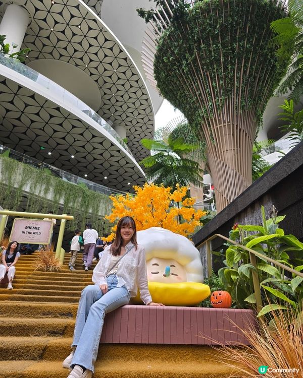 深圳坂田萬科廣場🤩！黑臉琵鷺貓仔打卡📸！偽新加坡風🌳！