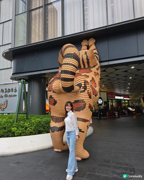 深圳坂田萬科廣場🤩！黑臉琵鷺貓仔打卡📸！偽新加坡風🌳！