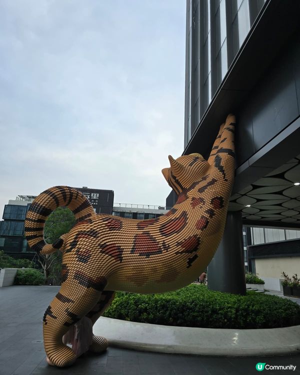 深圳坂田萬科廣場🤩！黑臉琵鷺貓仔打卡📸！偽新加坡風🌳！