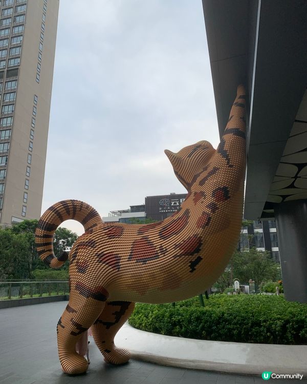 深圳坂田萬科廣場🤩！黑臉琵鷺貓仔打卡📸！偽新加坡風🌳！