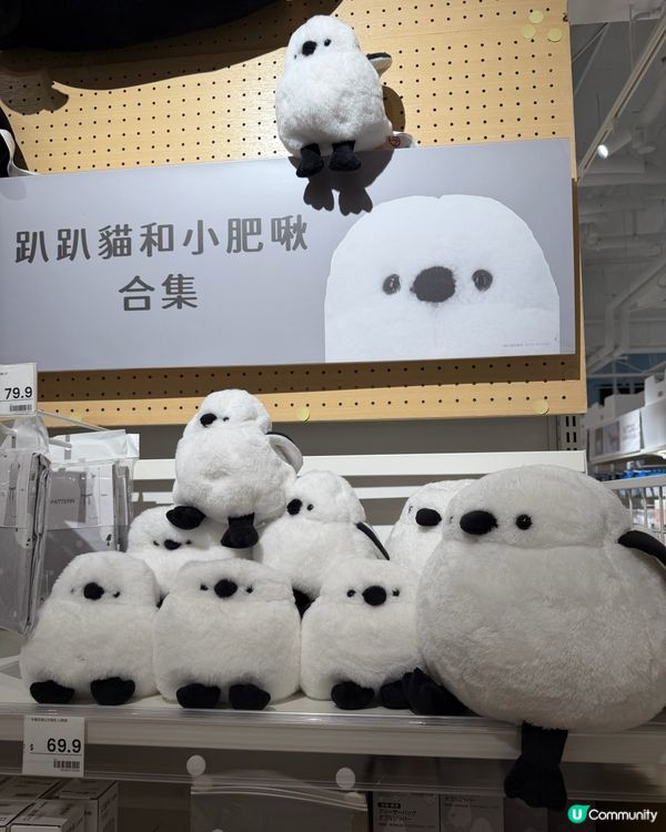 【買買 北海道! 感謝祭開跑! ✈️】