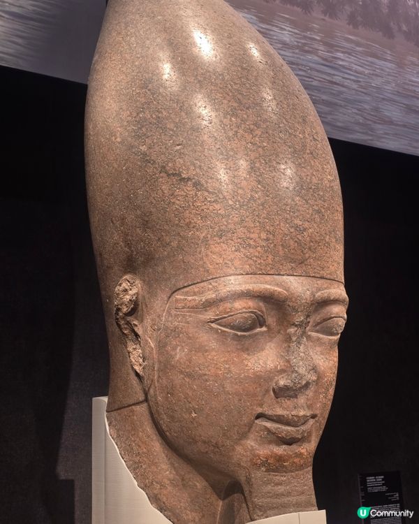 埃及展覽！黃金面具震撼登場！🤩✨