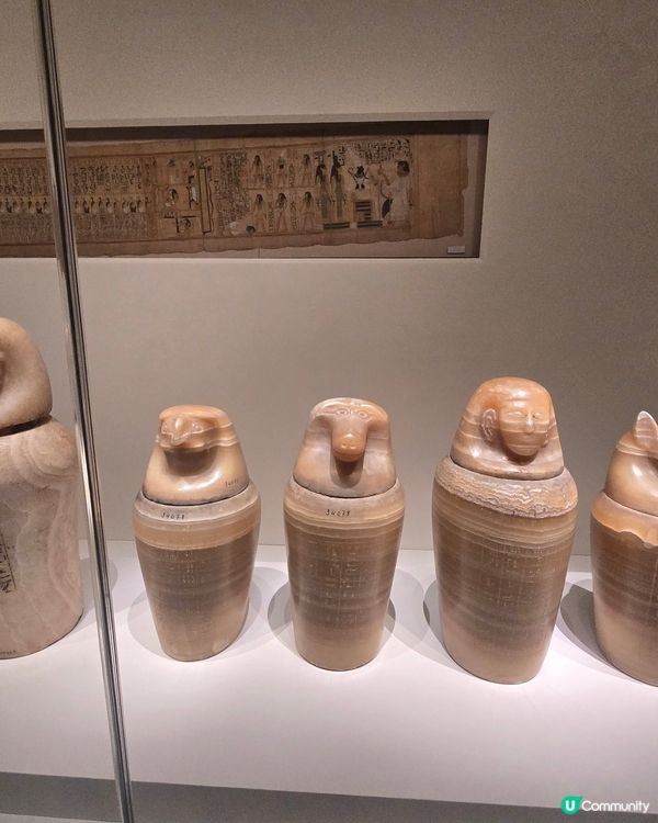 埃及展覽！黃金面具震撼登場！🤩✨