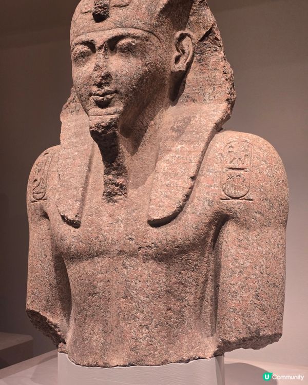 埃及展覽！黃金面具震撼登場！🤩✨