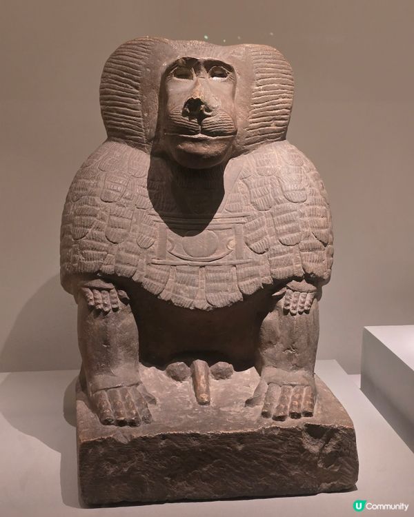 埃及展覽！黃金面具震撼登場！🤩✨