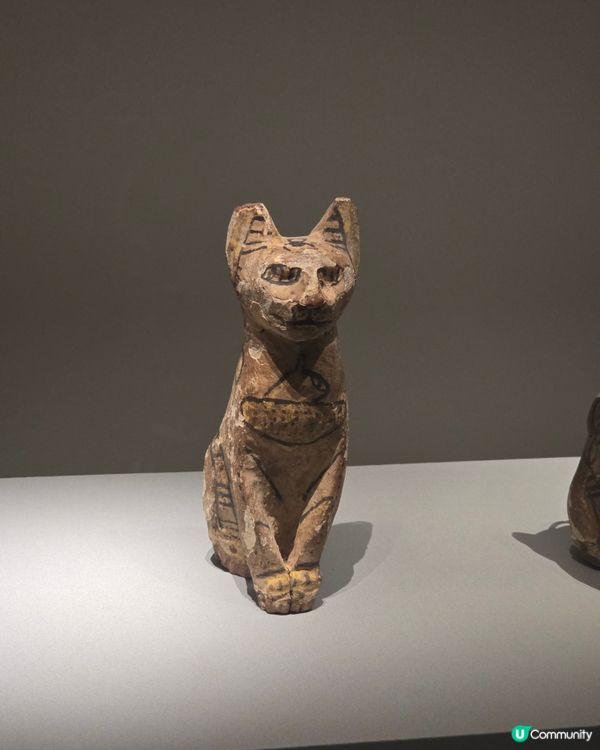 埃及展覽！黃金面具震撼登場！🤩✨