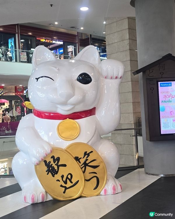 招財貓🐱喵😽