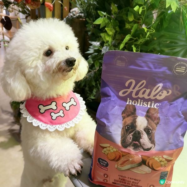 狗狗都愛三文魚！🐟 毛孩試食報告！😋 #狗糧