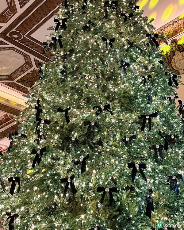 🎏尖沙咀半島酒店🎄超靚 Chanel聖誕樹