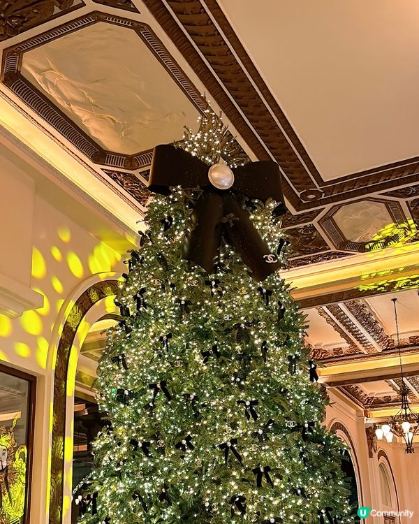 🎏尖沙咀半島酒店🎄超靚 Chanel聖誕樹