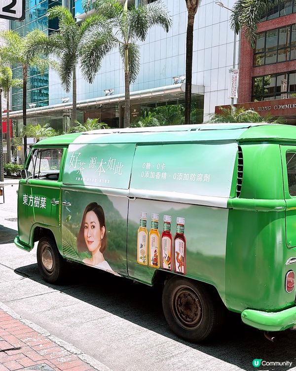 1/7-14/7‼️街頭免費派東方樹葉