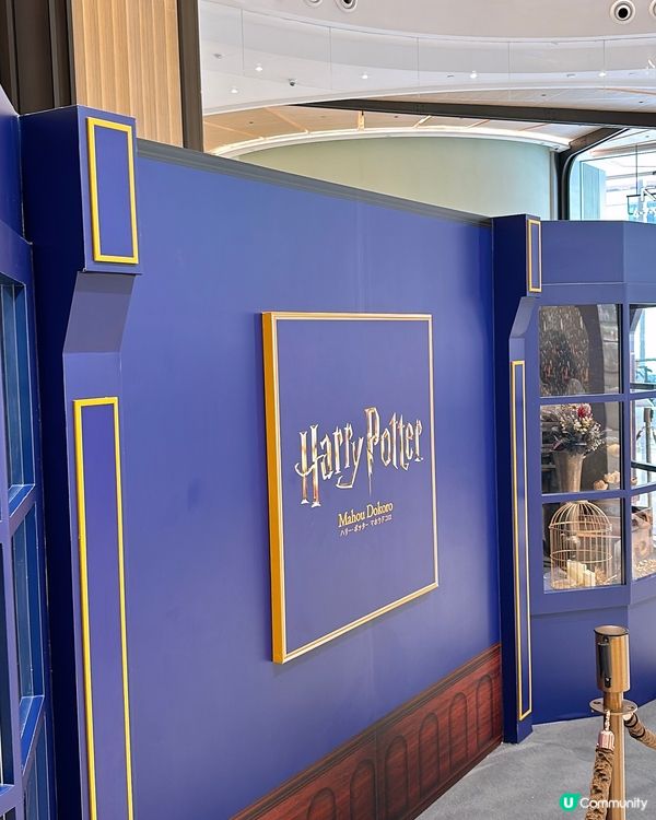 Harry Potter魔法學院🪄空降銅鑼灣希慎廣場