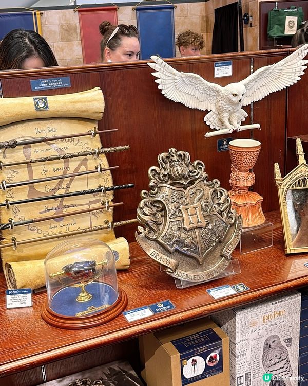 Harry Potter魔法學院🪄空降銅鑼灣希慎廣場