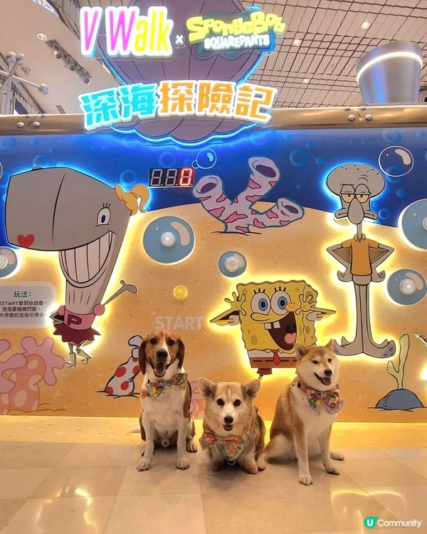 【 V Walk x SpongeBob 海綿寶寶見面會】