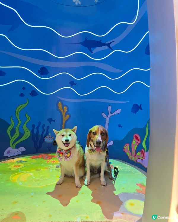 【 V Walk x SpongeBob 海綿寶寶見面會】