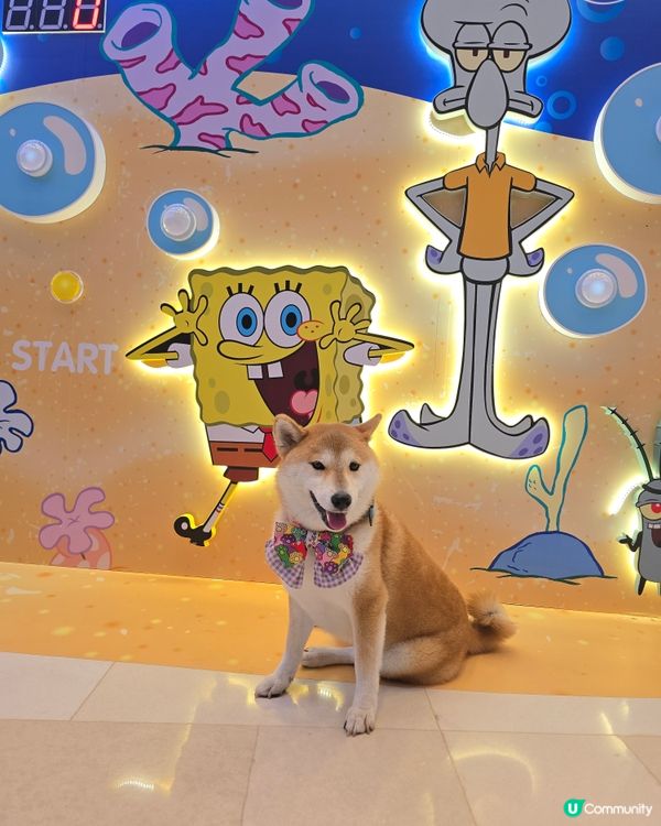 【 V Walk x SpongeBob 海綿寶寶見面會】