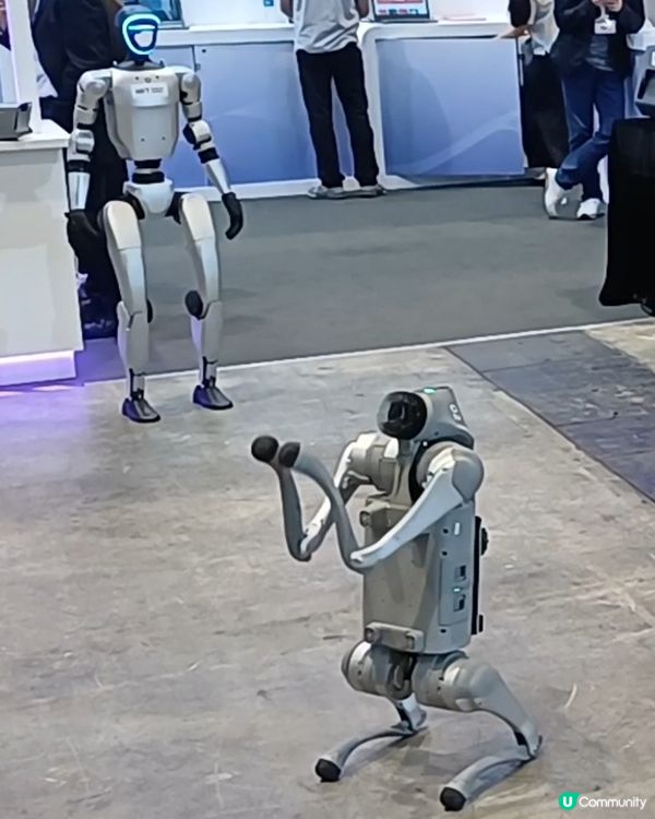 香港電腦通訊節暨香港運動節 2025