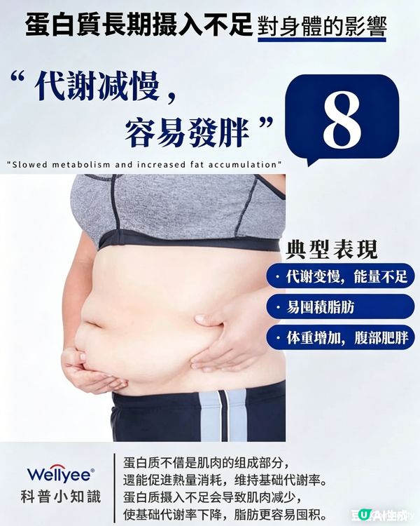 蛋白質長期摄入不足對身體的影響？