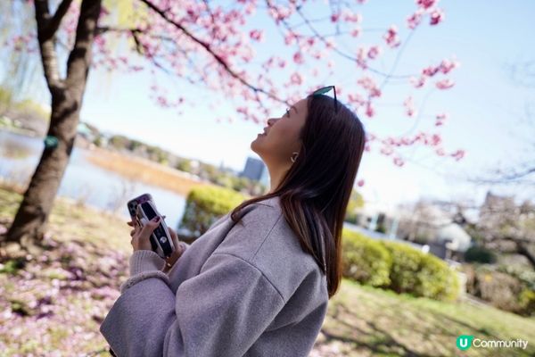 東京賞櫻推介🌸