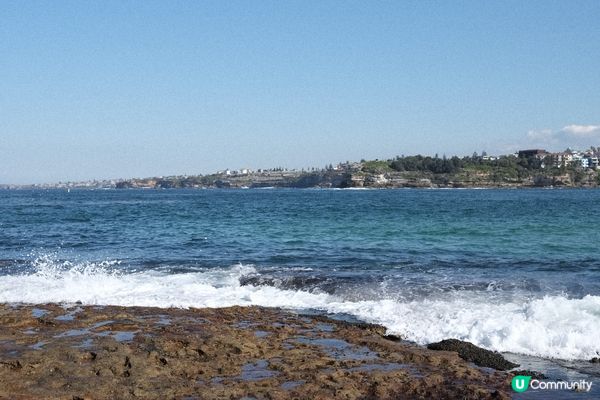 悉尼 Bondi beach 🏖️