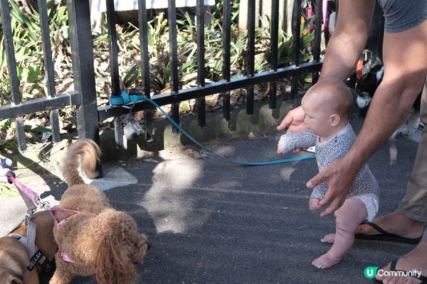 悉尼 Bondi beach 🏖️