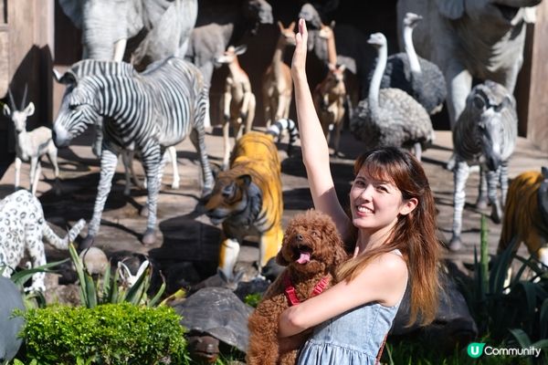 好開心可以去希臘旅行，返到香港又到處玩