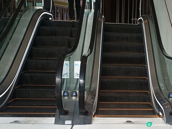 史上最短的扶手電梯？🤔