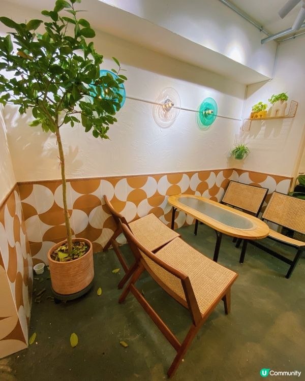 之前已經試過旺角店既蛋糕同飲品