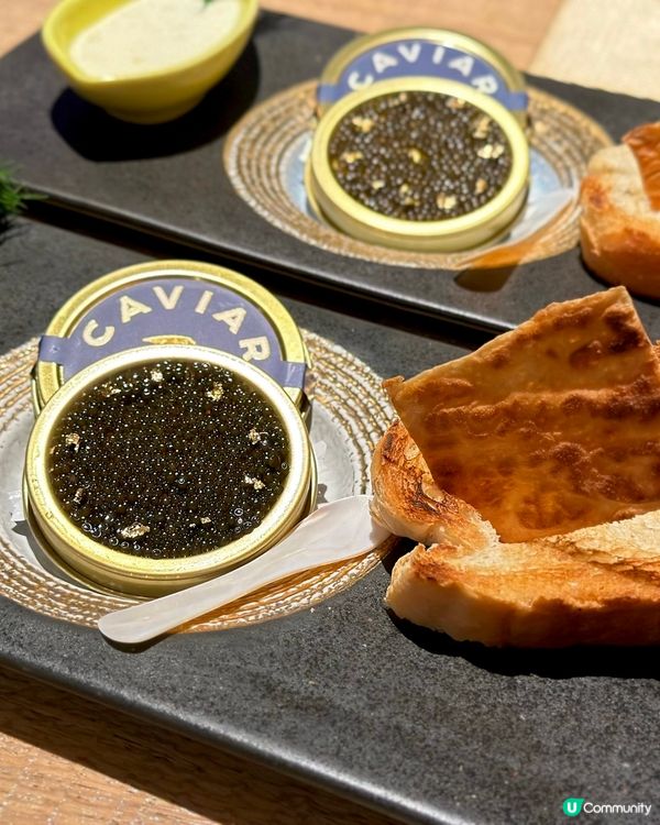 尖沙咀鐵板燒藝術·尊貴盛宴鮑魚龍蝦🐟🦀✨