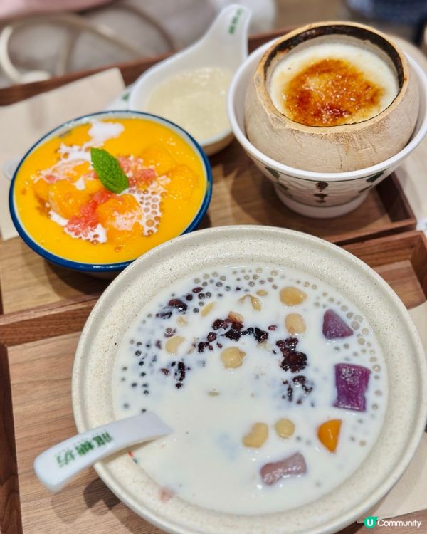 人氣龍糖坊 🏠 椰皇燉蛋太驚艷！🍮✨