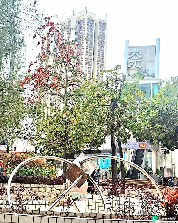 元宵節快樂
