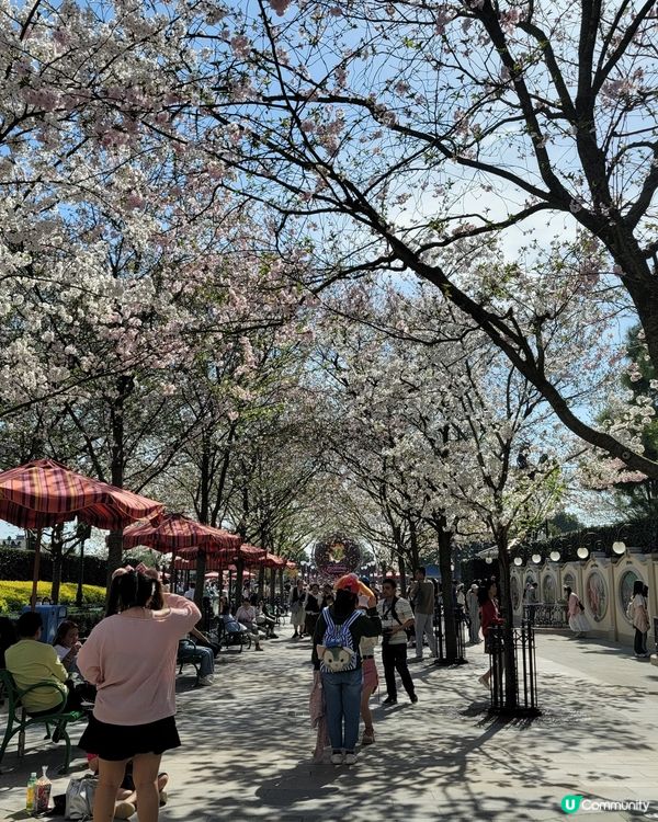 上海迪士尼如此多fun