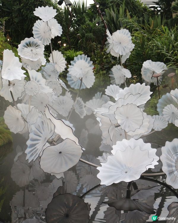 坊如仙境般的花園